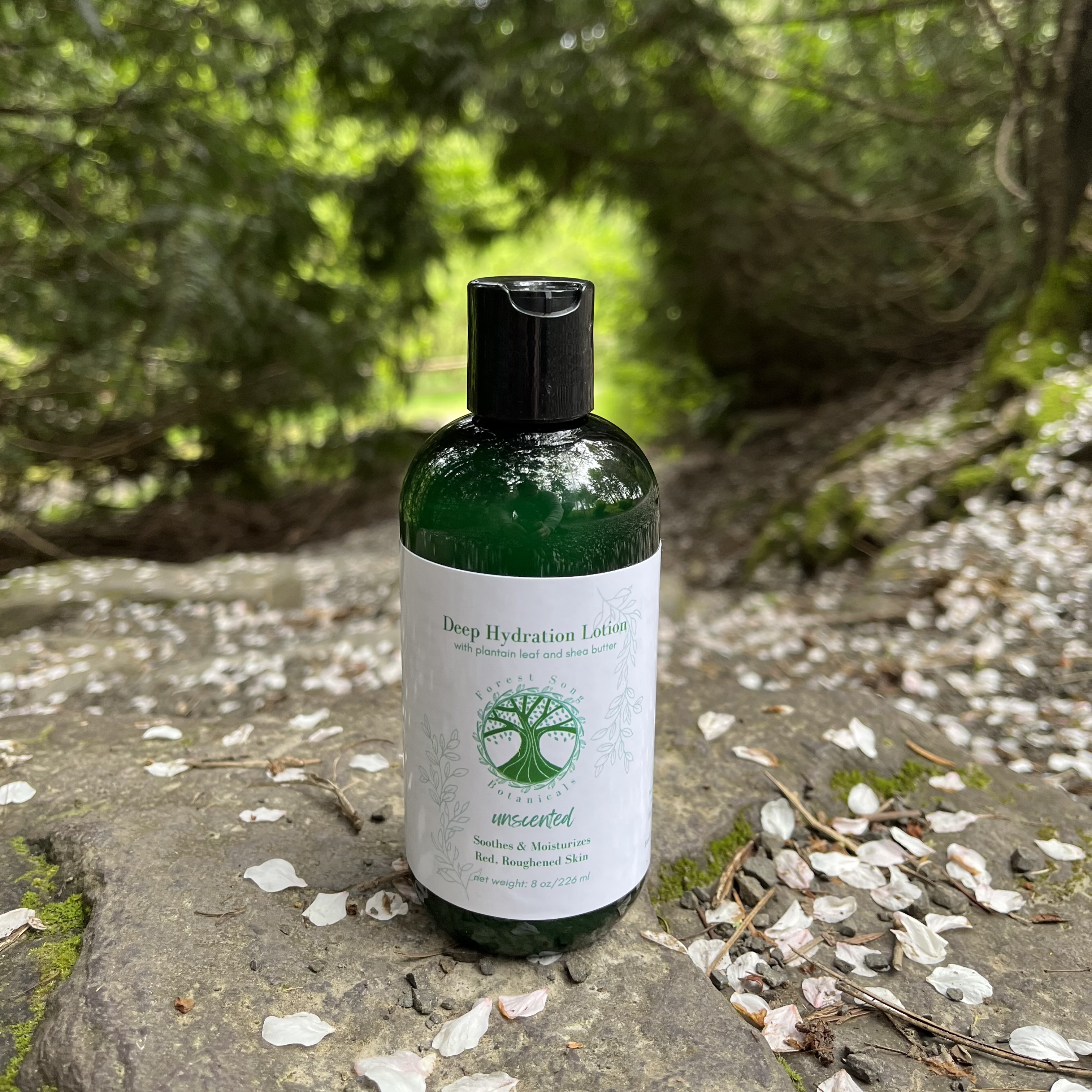Green bottle with a white label of unscented lotion on a backdrop of ivy on the ground.